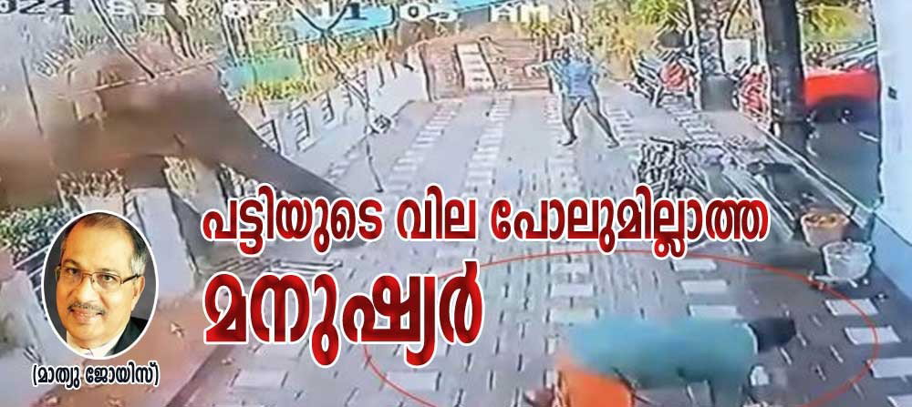 പട്ടിയുടെ വില പോലുമില്ലാത്ത മനുഷ്യർ (മാത്യു ജോയിസ്)