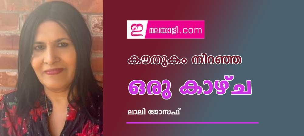 കൗതുകം നിറഞ്ഞ ഒരു കാഴ്ച ( ലാലി ജോസഫ്)
