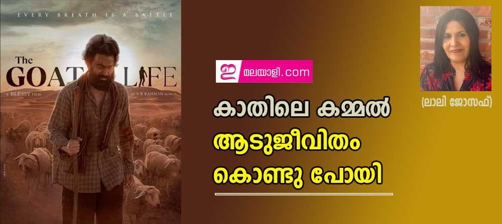 കാതിലെ കമ്മല് ആടുജീവിതം കൊണ്ടു പോയി (ലാലി ജോസഫ്)