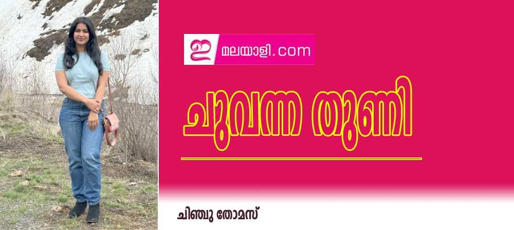 ചുവന്ന തുണി (ചെറുകഥ: ചിഞ്ചു തോമസ്)
