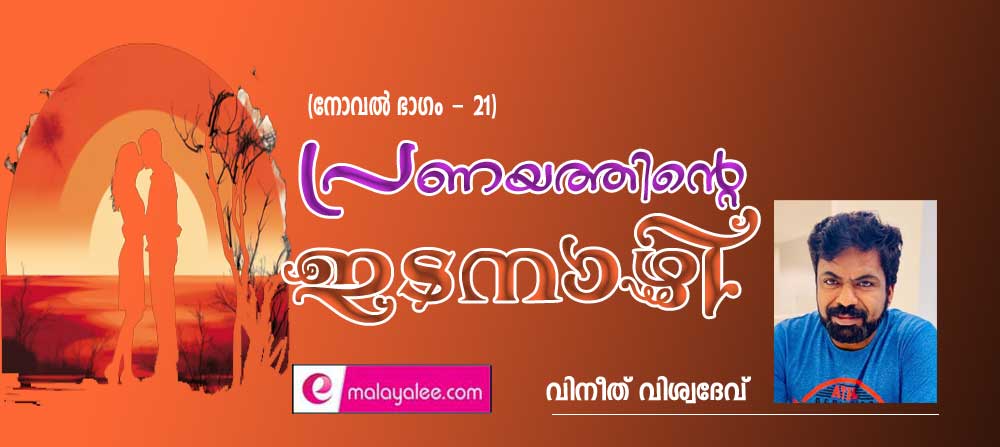 പ്രണയത്തിന്റെ ഇടനാഴി- (നോവൽ - ഭാഗം - 21-വിനീത് വിശ്വദേവ്)