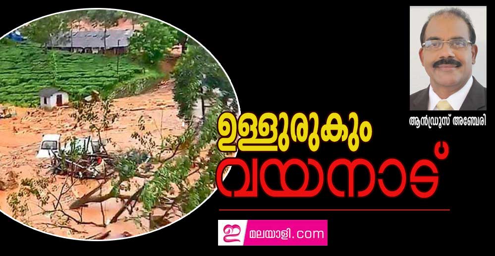 ഉള്ളുരുകും വയനാട് (കവിത : ആൻഡ്രൂസ് അഞ്ചേരി)