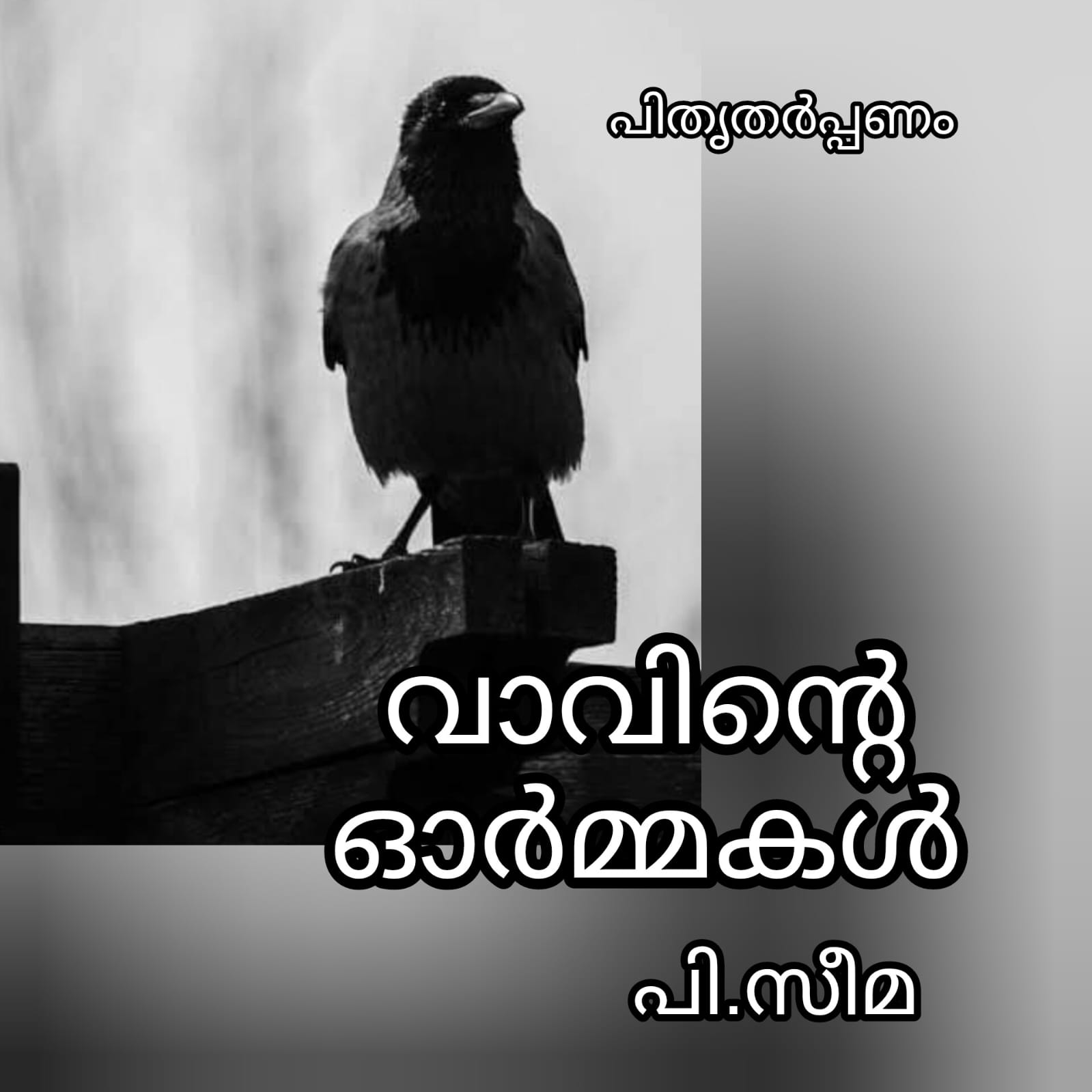 വാവിന്റെ ഓർമ്മകൾ : പി. സീമ