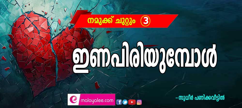 ഇണപിരിയുമ്പോൾ (നമുക്ക് ചുറ്റും - 3:സുധീർ പണിക്കവീട്ടിൽ)