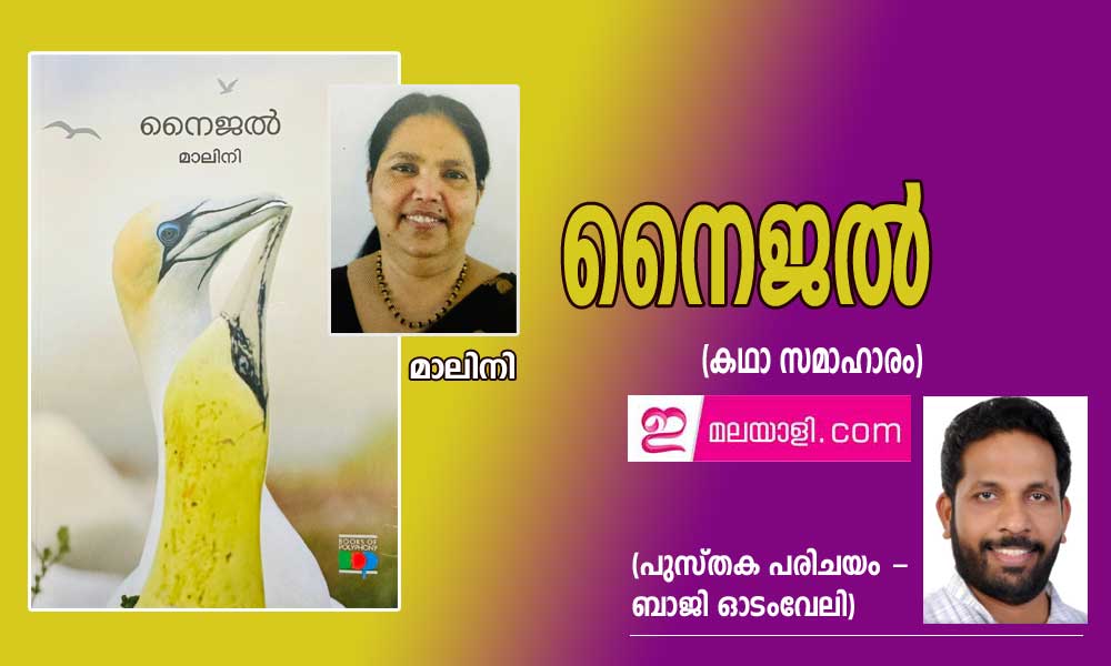 നൈജൽ (കഥാ സമാഹാരം) - മാലിനി (പുസ്തക പരിചയം - ബാജി ഓടംവേലി)
