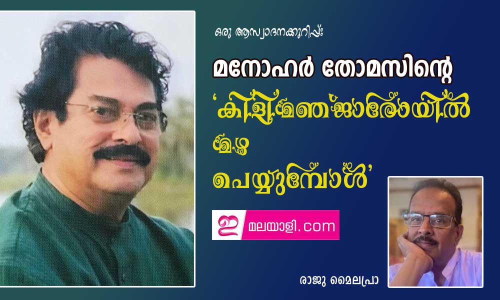 മനോഹര്‍ തോമസിന്റെ 'കിളിമഞ്ജാരോയില്‍ മഴ പെയ്യുമ്പോള്‍' ഒരു ആസ്വാദനക്കുറിപ്പ്: രാജു മൈലപ്രാ)