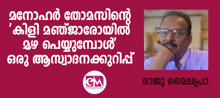 മനോഹര്‍ തോമസിന്റെ കിളി മഞ്ജാരോയില്‍ മഴ പെയ്യുമ്പോള്‍ ഒരു ആസ്വാദനക്കുറിപ്പ് (രാജു മൈലപ്രാ)