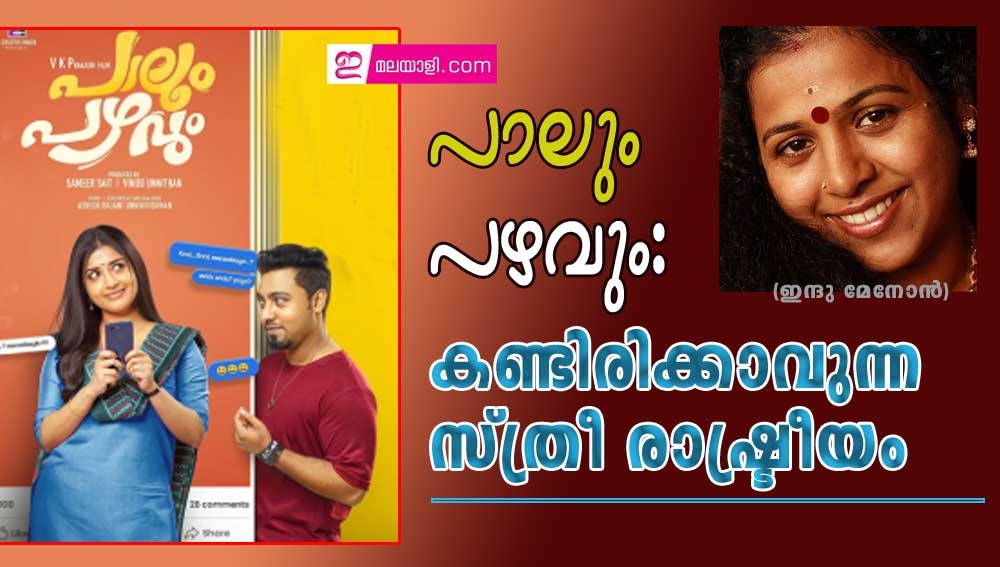 പാലും പഴവും: കണ്ടിരിക്കാവുന്ന സ്ത്രീ രാഷ്ട്രീയം (ഇന്ദു മേനോൻ)