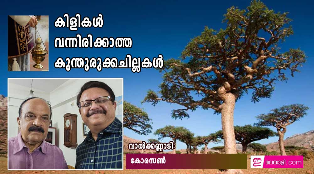 കിളികൾ വന്നിരിക്കാത്ത കുന്തിരിക്കചില്ലകൾ (വാൽക്കണ്ണാടി: കോരസൺ)