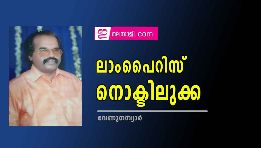   ലാംപൈറിസ് നൊക്ടിലുക്ക (കവിത: വേണുനമ്പ്യാർ)