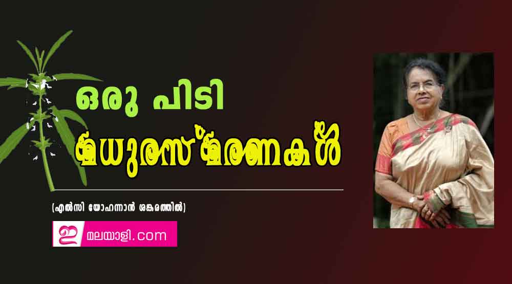 ഒരു പിടി മധുരസ്മരണകള്‍ (എല്‍സി യോഹന്നാന്‍ ശങ്കരത്തില്‍)