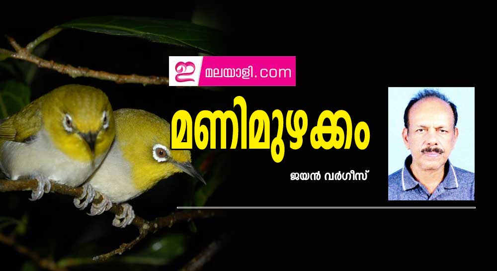 മണിമുഴക്കം (കവിത: ജയൻ വർഗീസ്)