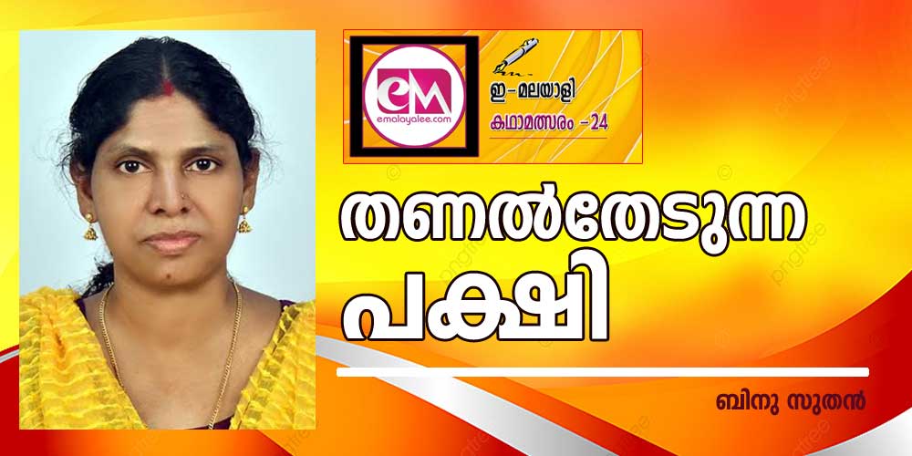 തണല്‍തേടുന്ന പക്ഷി (ഇമലയാളി കഥാമത്സരം 2024: ബിനു സുതന്‍)