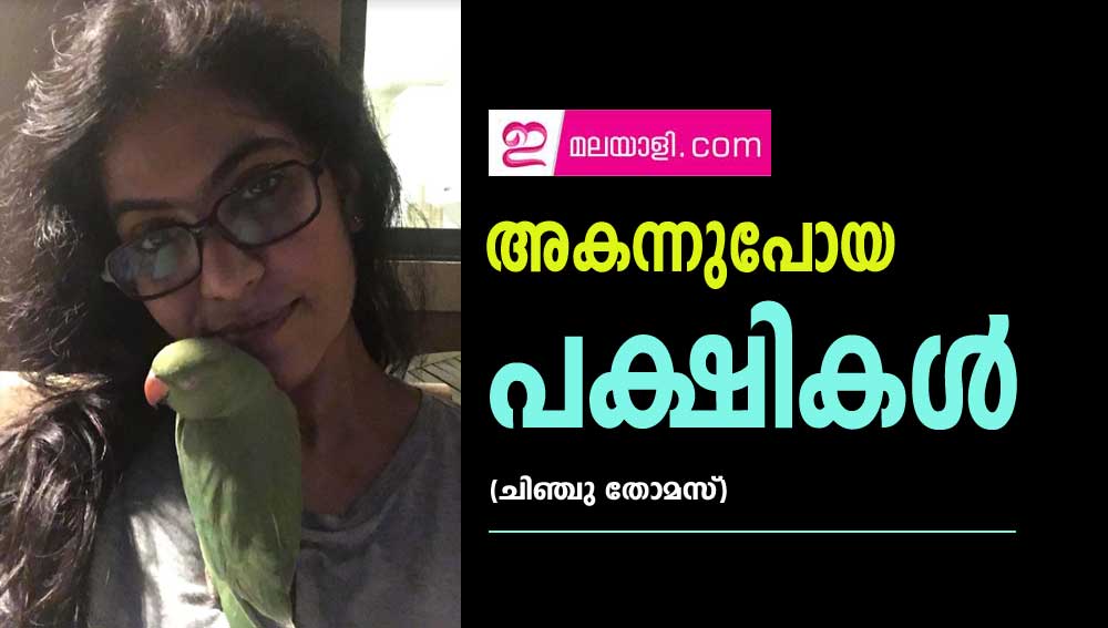 അകന്നുപോയ പക്ഷികള്‍ (ചിഞ്ചു തോമസ്)