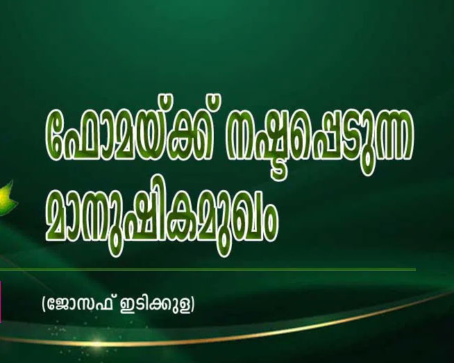 ഫോമയ്‌ക്ക് നഷ്ടപ്പെടുന്ന മാനുഷികമുഖം (ജോസഫ് ഇടിക്കുള)