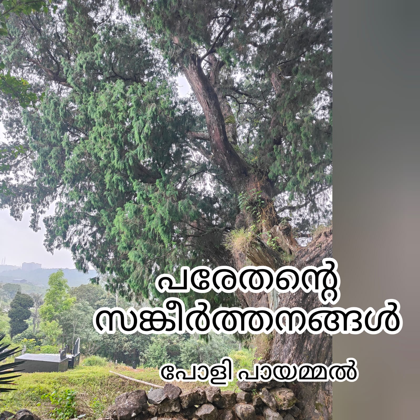 പരേതൻ്റെ സങ്കീർത്തനങ്ങൾ : പോളി പായമ്മൽ