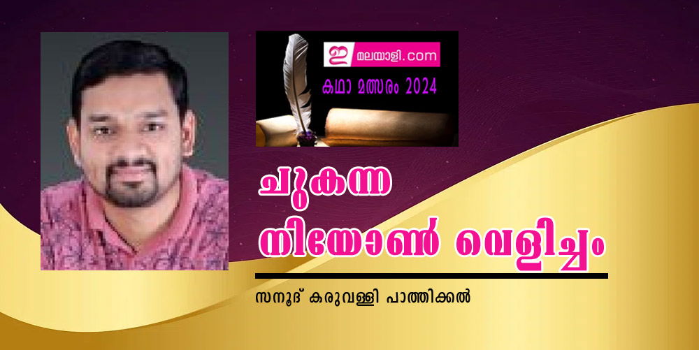 ചുകന്ന നിയോൺ വെളിച്ചം (ഇമലയാളി കഥാമത്സരം 2024: സനൂദ് കരുവള്ളി പാത്തിക്കല്‍)