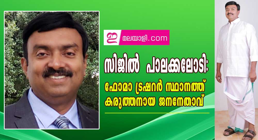 സിജിൽ പാലക്കലോടി: ഫോമാ ട്രഷറർ സ്ഥാനത്ത്  കരുത്തനായ ജനനേതാവ്