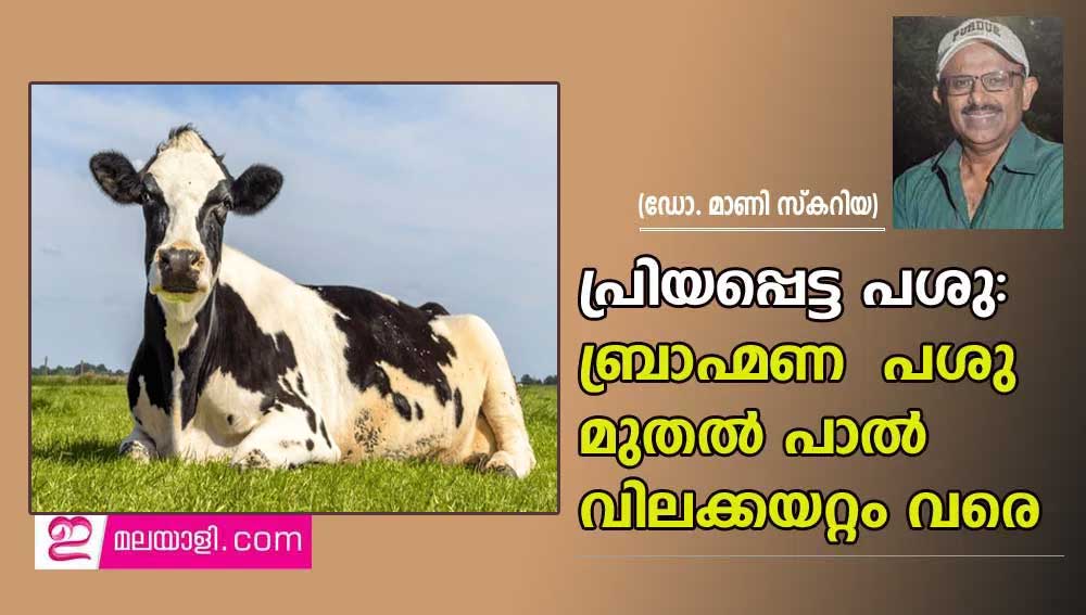 പ്രിയപ്പെട്ട പശു: ബ്രാഹ്മണ  പശു മുതൽ പാൽ വിലക്കയറ്റം വരെ (ഡോ. മാണി സ്കറിയ)  