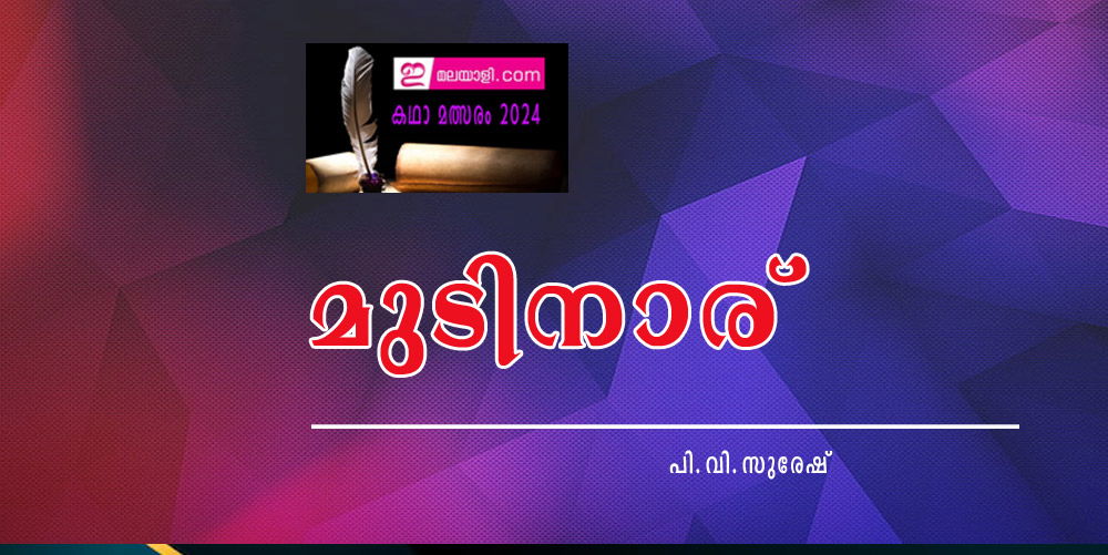 മുടിനാര് (ഇമലയാളി കഥാമത്സരം 2024: പി.വി.സുരേഷ്)