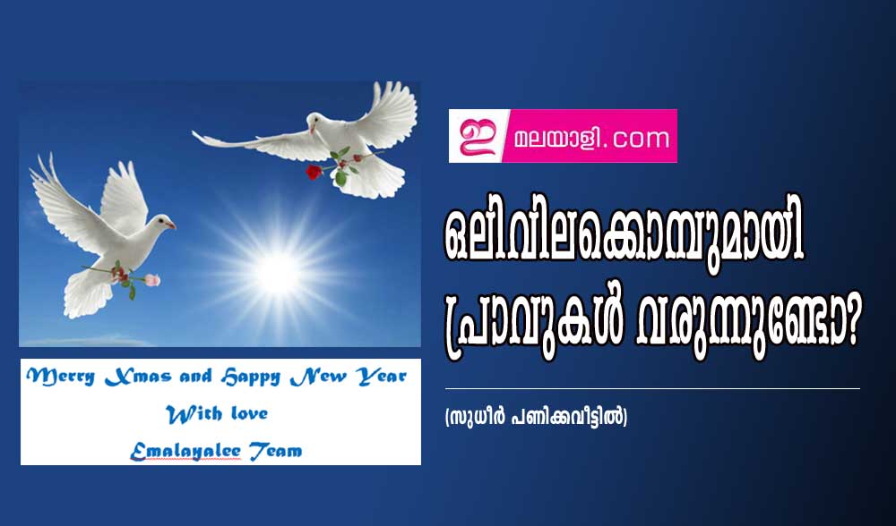 ഒലിവിലക്കൊമ്പുമായി പ്രാവുകൾ വരുന്നുണ്ടോ? (സുധീർ പണിക്കവീട്ടിൽ)