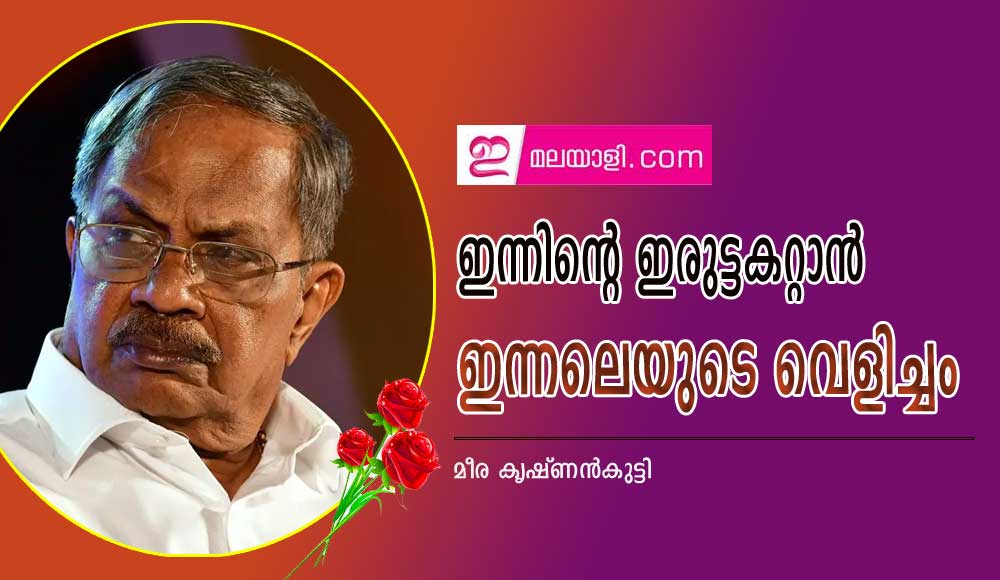 ഇന്നിന്റെ ഇരുട്ടകറ്റാൻ ഇന്നലെയുടെ വെളിച്ചം (മീര കൃഷ്ണൻകുട്ടി)