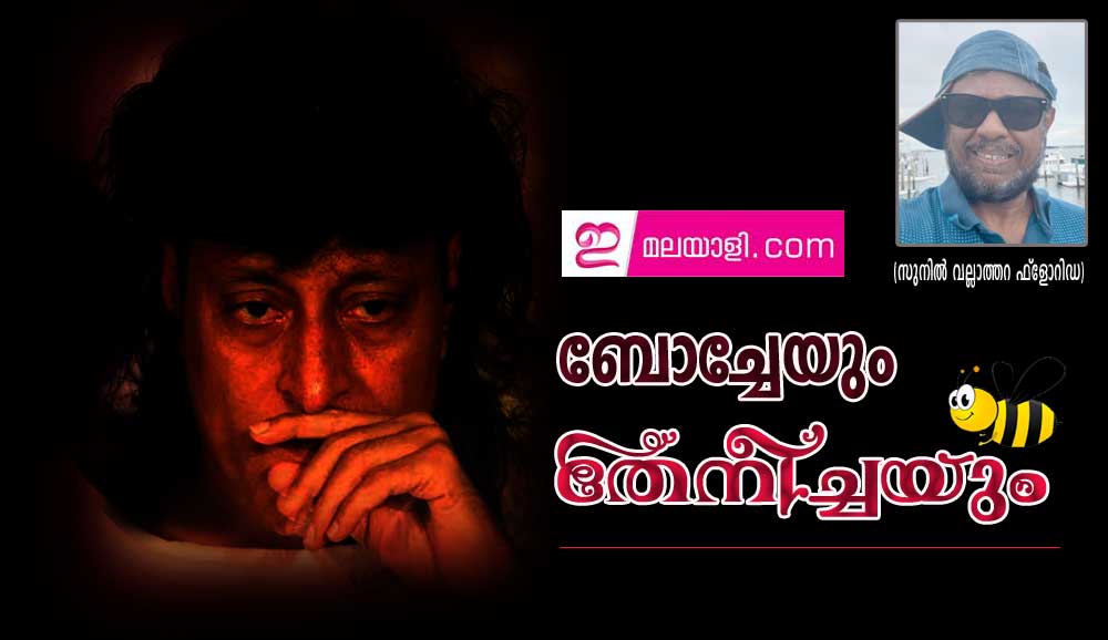 ബോച്ചേയും തേനീച്ചയും (സുനിൽ വല്ലാത്തറ ഫ്ലോറിഡ)