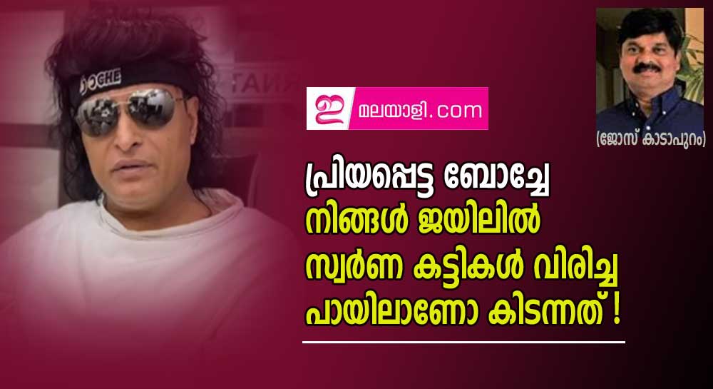 പ്രിയ  ബോച്ചേ നിങ്ങൾ ജയിലിൽ സ്വർണ കട്ടികൾ വിരിച്ച പായയിലാണോ കിടന്നത്  (ജോസ് കാടാപുറം)