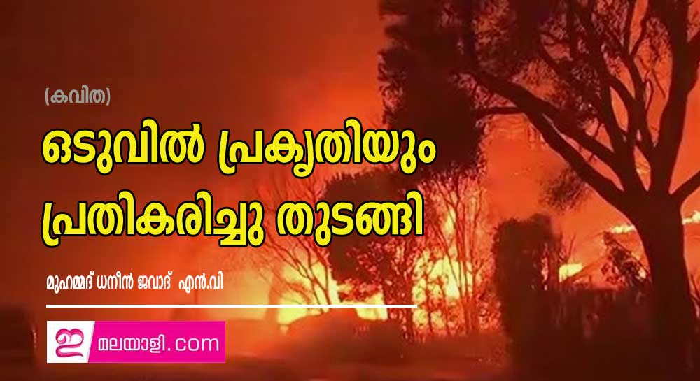 ഒടുവിൽ പ്രകൃതിയും പ്രതികരിച്ചു തുടങ്ങി  (കവിത: മുഹമ്മദ് ധനീൻ ജവാദ്  എൻ.വി)