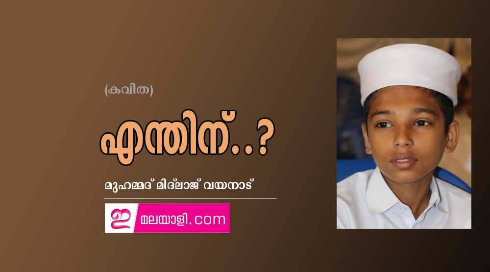 എന്തിന്..? (കവിത: മുഹമ്മദ് മിദ്‌ലാജ് വയനാട്)