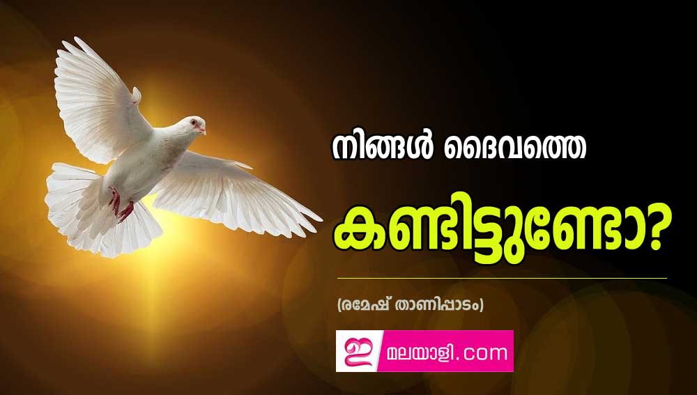 നിങ്ങള്‍ ദൈവത്തെ കണ്ടിട്ടുണ്ടോ? (രമേഷ്‌ താണിപ്പാടം)