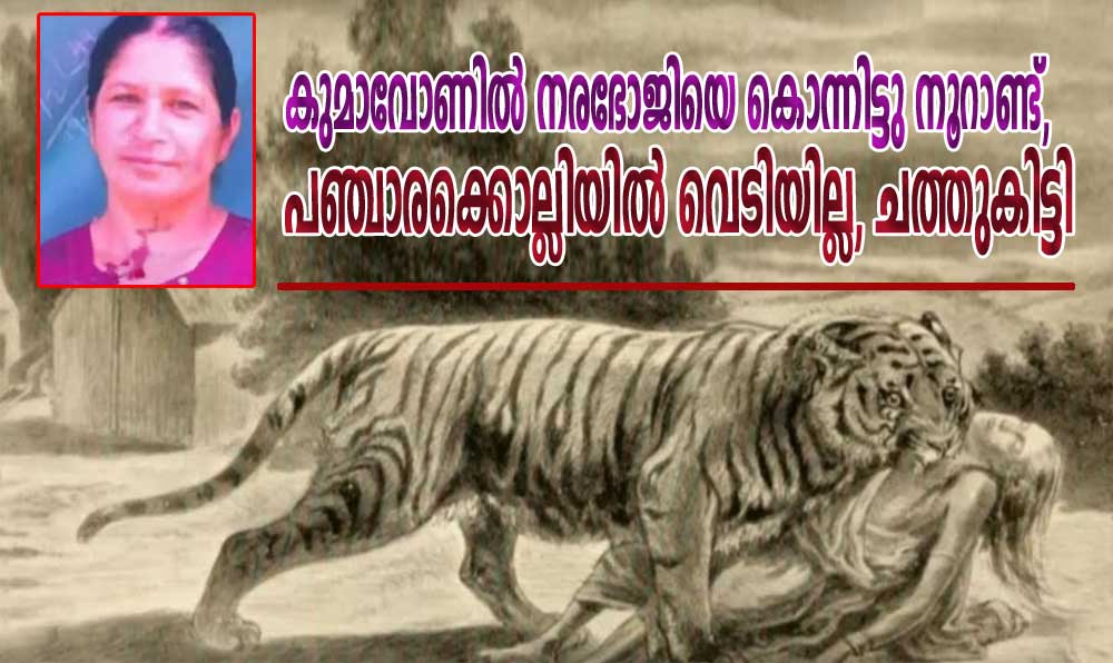 കുമാവോണിൽ നരഭോജിയെ കൊന്നിട്ടു നൂറാണ്ട്, പഞ്ചാരക്കൊല്ലിയിൽ വെടിയില്ല, ചത്തുകിട്ടി (കുര്യൻ പാമ്പാടി)