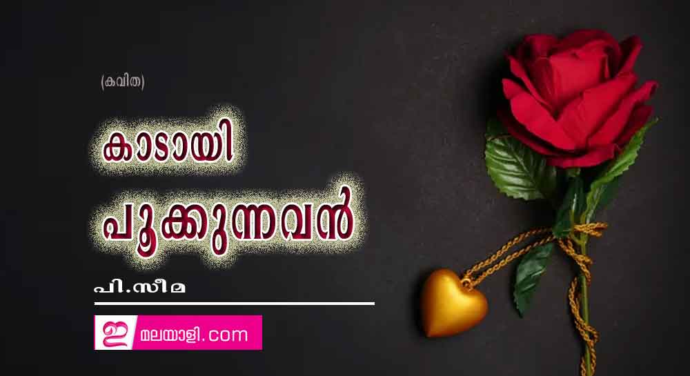 കാടായി പൂക്കുന്നവൻ (കവിത:പി.സീമ)