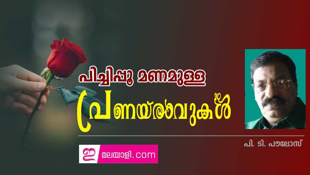 പിച്ചിപ്പൂ മണമുള്ള പ്രണയരാവുകൾ (പി. ടി. പൗലോസ്)