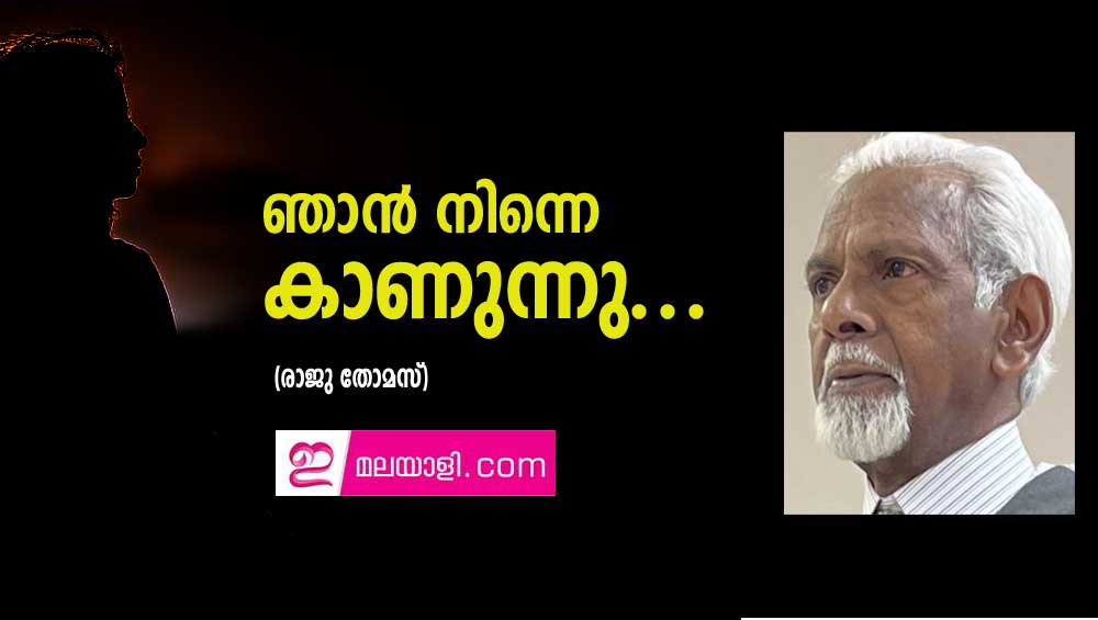 ഞാൻ നിന്നെ കാണുന്നു...(രാജു തോമസ്)