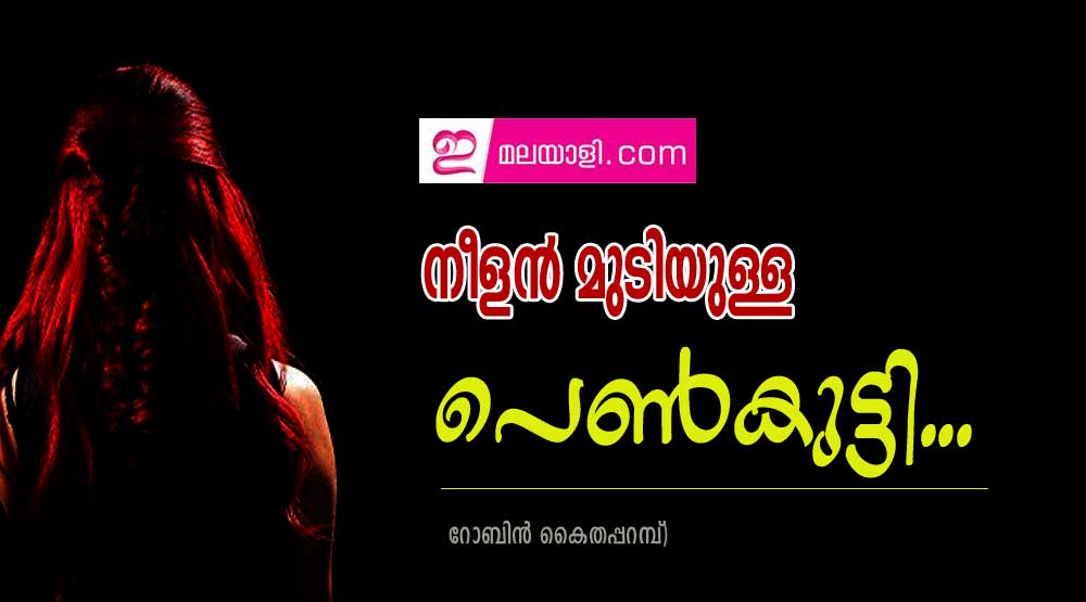 നീളൻ മുടിയുള്ള പെൺകുട്ടി...(ചെറുകഥ:റോബിൻ കൈതപ്പറമ്പ്)