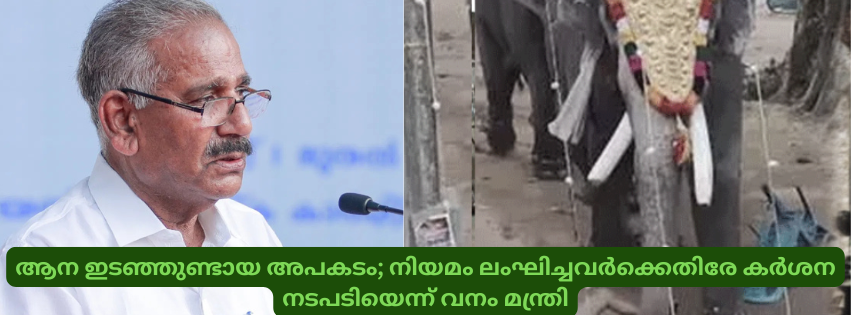 ആന ഇടഞ്ഞുണ്ടായ അപകടം; നിയമം ലംഘിച്ചവർക്കെതിരേ കർശന നടപടിയെന്ന് വനം മന്ത്രി