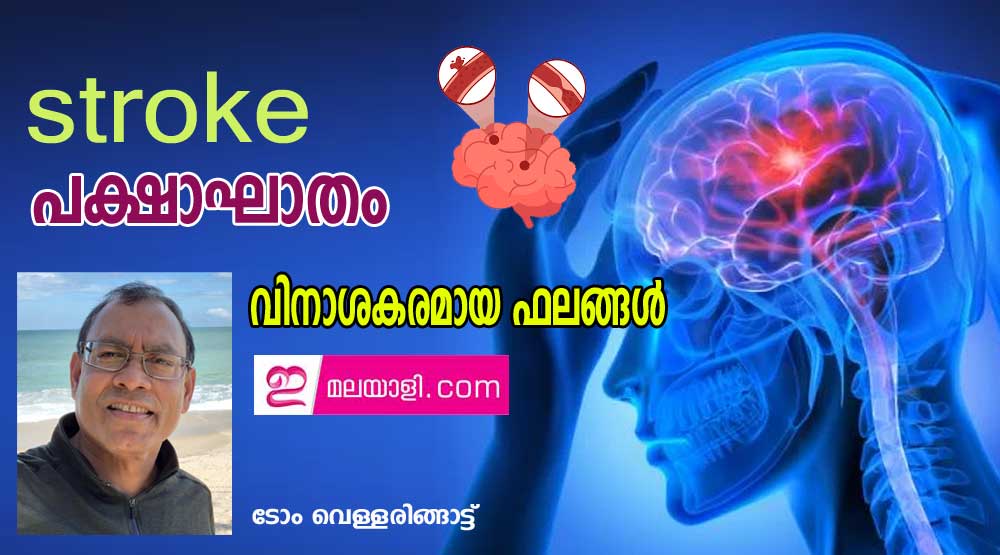 സ്‌ട്രോക്ക്-  പക്ഷാഘാതം:  വിനാശകരമായ ഫലങ്ങൾ