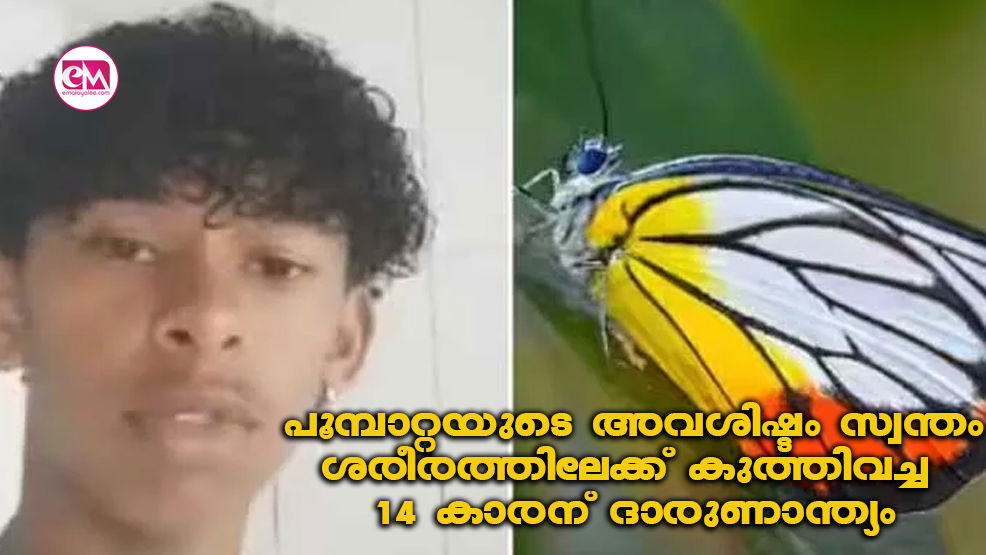 പൂമ്പാറ്റയുടെ അവശിഷ്ടം സ്വന്തം ശരീരത്തിലേക്ക് കുത്തിവച്ച 14 -കാരന് ദാരുണാന്ത്യം