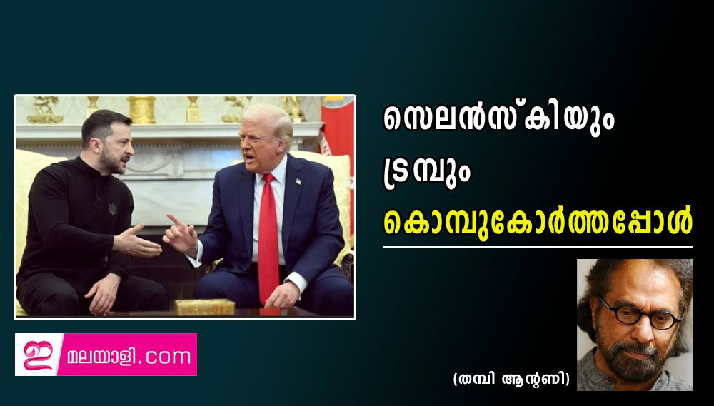 സെലൻസ്കിയും ട്രമ്പും കൊമ്പുകോർത്തപ്പോൾ (തമ്പി ആന്റണി)