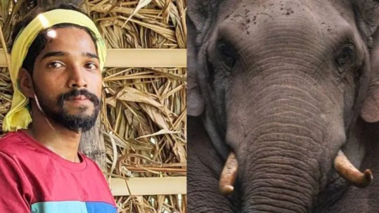 അതിരപ്പിള്ളിയിൽ കാട്ടാന ആക്രമണത്തിൽ മരിച്ച സെബാസ്റ്റ്യൻ്റെ സംസ്കാരം നാളെ