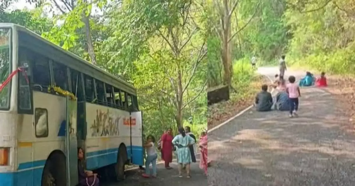 ബസ് ബ്രേക്ക് ഡൗൺ ആയി; കെഎസ്ആർടിസി ടൂർ പാക്കേജിൽ ഗവിയിൽ കാടിനുള്ളിൽ കുടുങ്ങിയ സംഘത്തെ രക്ഷപ്പെടുത്തി