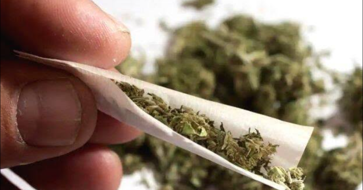 ഒഡീഷയിൽ നിന്നും ട്രെയിൻ മാർഗം കഞ്ചാവുമായി കേരളത്തിലേക്ക് ; കൊച്ചിയില് വിദ്യാര്ത്ഥികള്ക്ക് കഞ്ചാവ് വില്ക്കുന്ന മുഖ്യ കണ്ണികള് പിടിയില്