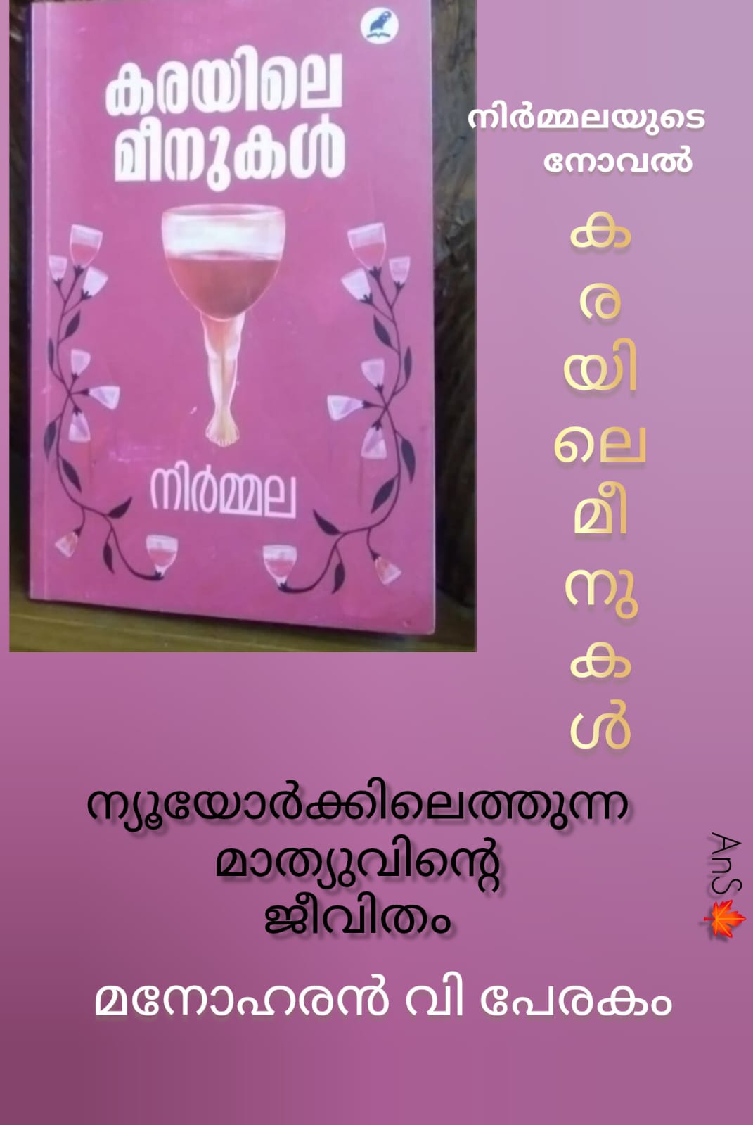 ന്യൂയോർക്കിലെത്തുന്ന മാത്യുവിൻ്റെ ജീവിതം : മനോഹരൻ വി പേരകം