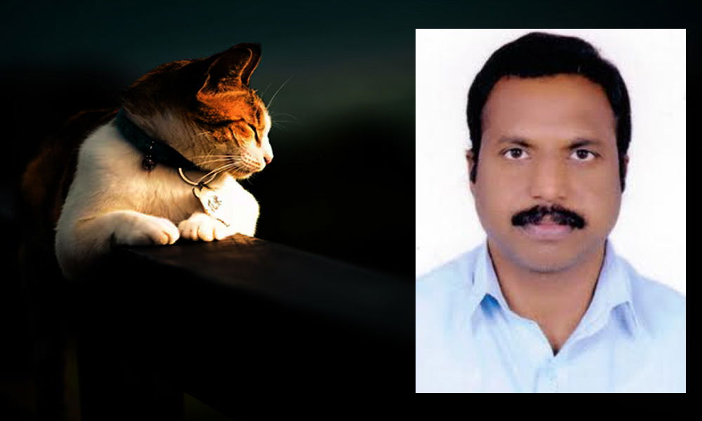 പൂച്ച (കഥ: ശ്രീകുമാര്‍ ഭാസ്കരന്‍)