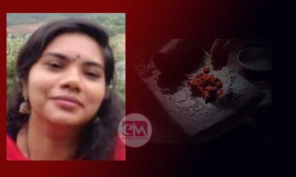 അമ്മിക്കല്ല് (മാതൃ ദിന കവിത: സിന്ധു ടിജി)