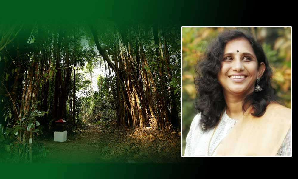 കാവിനെ തീണ്ടിയാൽ (കഥ-1: രശ്മി സജയൻ )