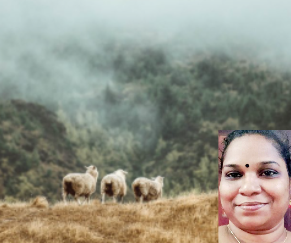ഹർഷ വിഷാദം; (കവിത, ലിൻസി വിൻസെന്റ്)