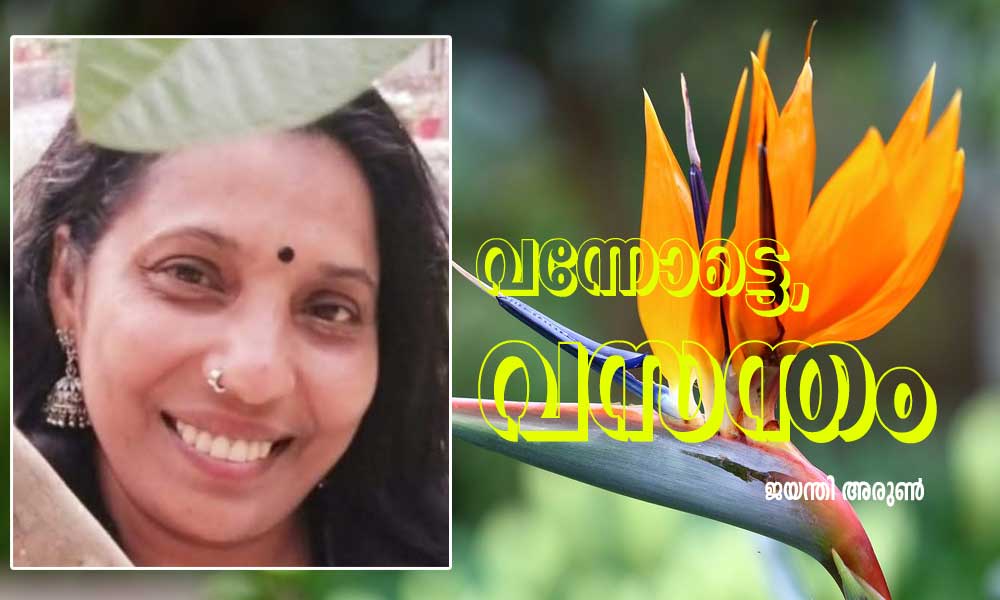 വന്നോട്ടെ , വസന്തം ( കവിത : ജയന്തി അരുൺ )