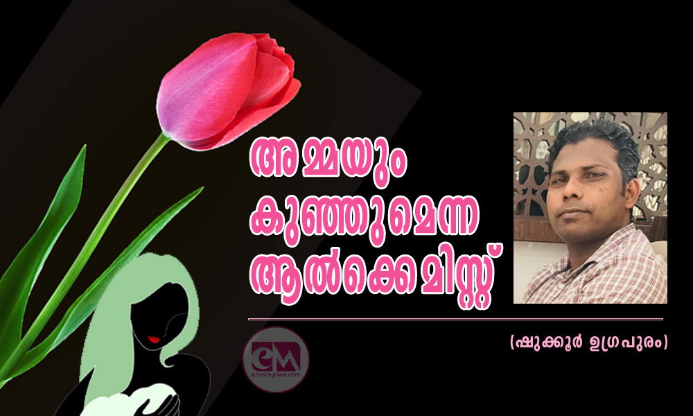 അമ്മയും കുഞ്ഞുമെന്ന ആൽക്കെമിസ്റ്റ് (ഷുക്കൂർ ഉഗ്രപുരം)